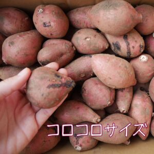 imo-020