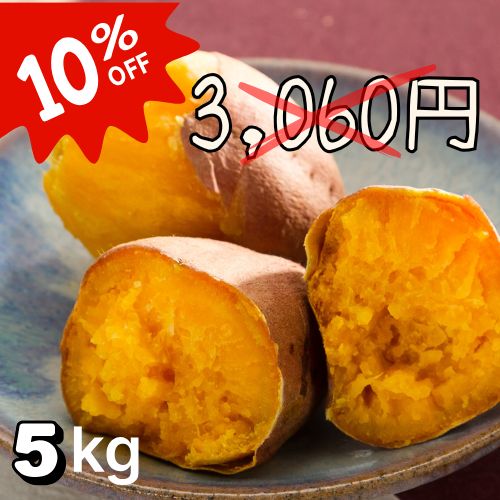 安納紅芋Mサイズ（5kg） | 安納芋の通販 たねがしまや